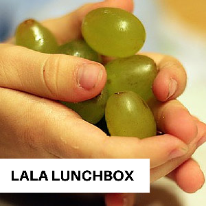 Meal Planning for Kids: LaLa Lunchbox to the Rescue